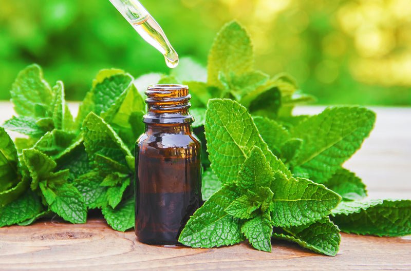 Peppermint Essential Oil and Acupressure-Do They Help Relieve Menopausal Symptoms? - Acupressure Bracelets