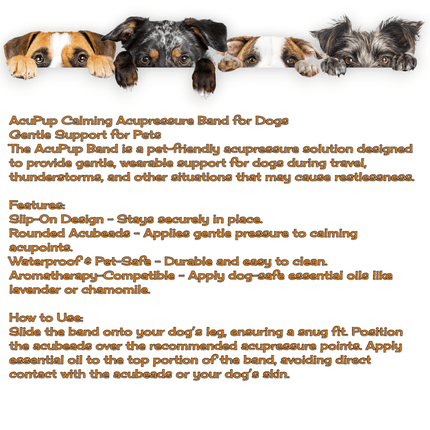 AcuBracelet Dog Anxiety Band, slip-on calming and stress support wearable for pet relaxation and wellness.