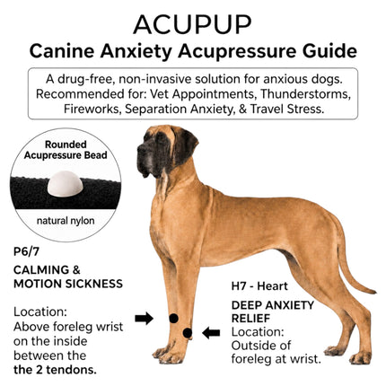 AcuBracelet dog anxiety band slip-on relaxant for calming and travel support, designed to soothe dogs during stressful situations.