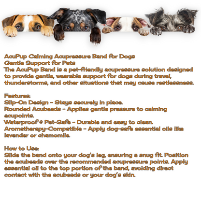 Dog Anxiety Band – Calming and Stress Relief – Slip On Pet Wellness