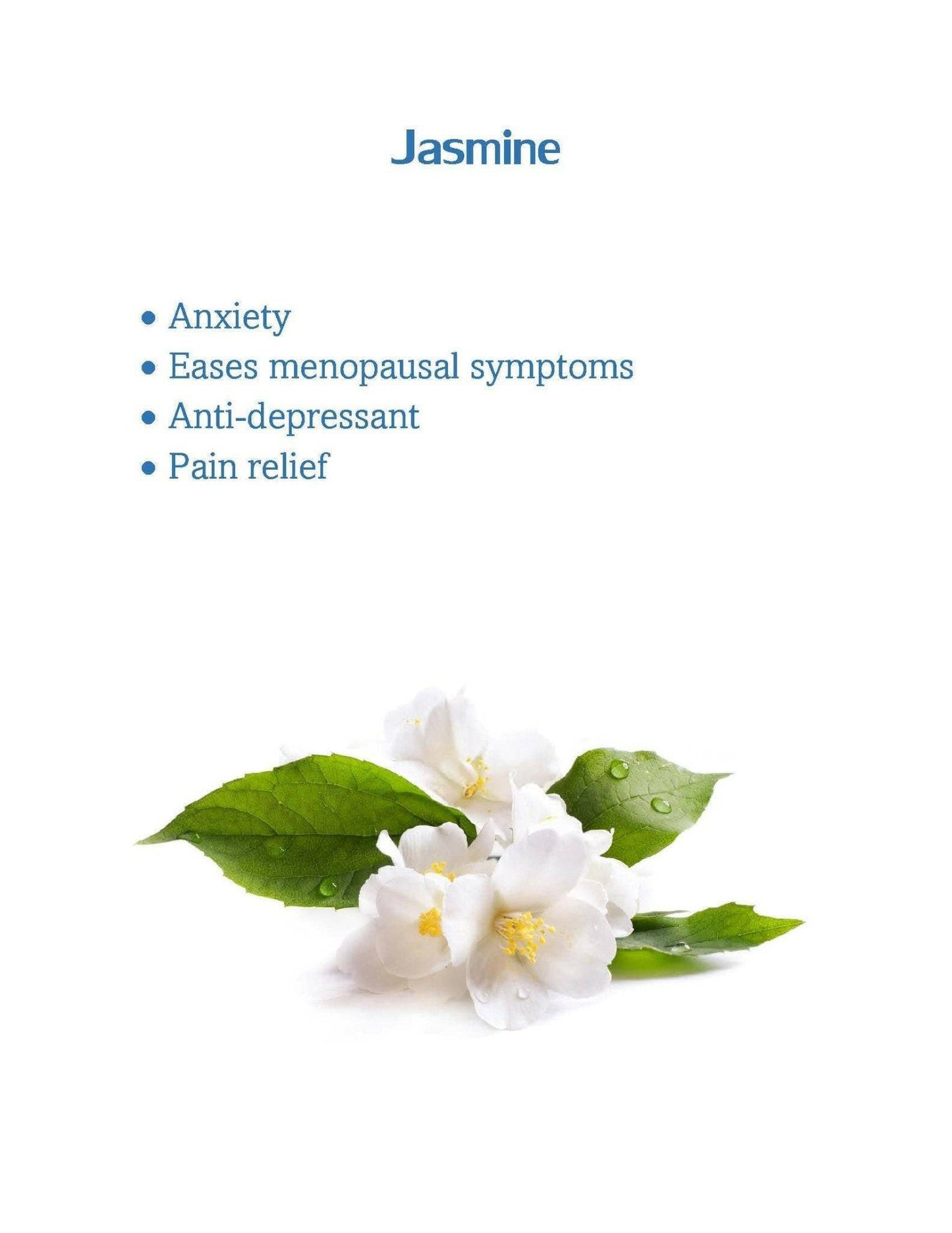 Anxiety Relief Jasmine Scented Bracelet – Multi-Symptom Support for Menopause and Mood Enhancement – VELCRO® Fasteners