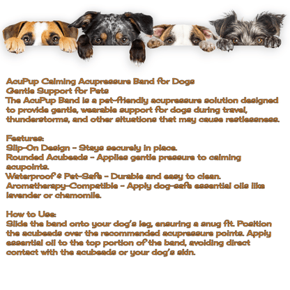 Dog Anxiety Band – Calming and Stress Relief – Slip On Pet Wellness