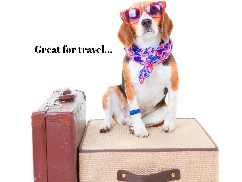 Acupressure dog relaxant – Dog Calming Band – Travel and Anxiety Support – Slip On Ease by AcuBracelet