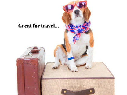 Acupressure dog relaxant – Dog Calming Band – Travel and Anxiety Support – Slip On Ease by AcuBracelet