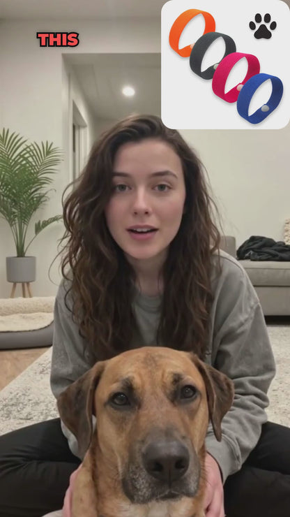 Dog Calming Band - Travel & Anxiety Support - Slip On Ease