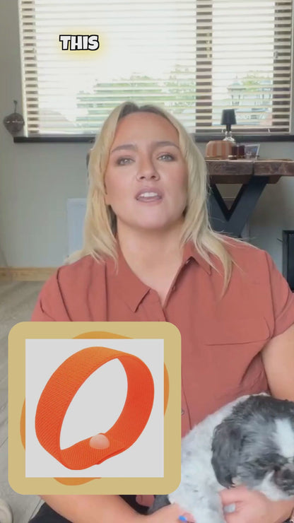 Dog Calming Band – Travel and Anxiety Support – Slip On Ease