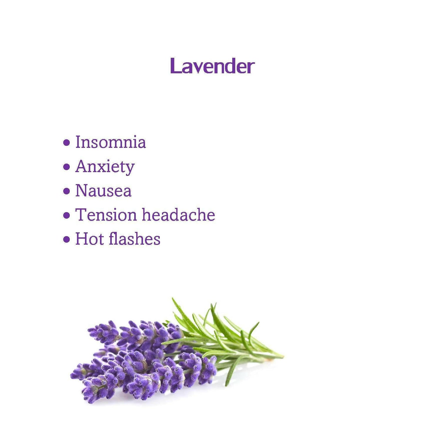 Lavender Scented AcuBracelet- Multi Symptom Sleep Aid-Adjustable Anxiety, Nausea Relief-Single - Acupressure Bracelets